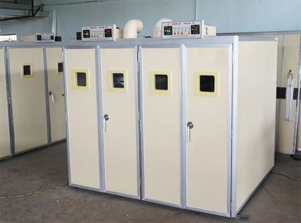 600 Eggs Capacity Incubator