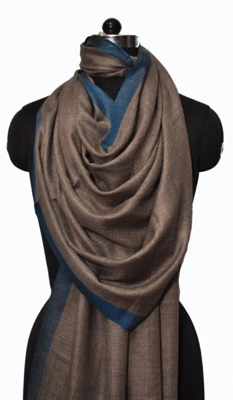 Dark Brown Solid Pashmina Blue Border Shawl