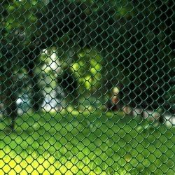 HDPE Garden Fencing Net, Color : Green