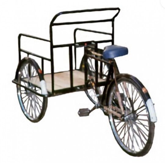 Active Cycle Attach Trolley