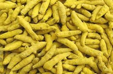 Finger Turmeric