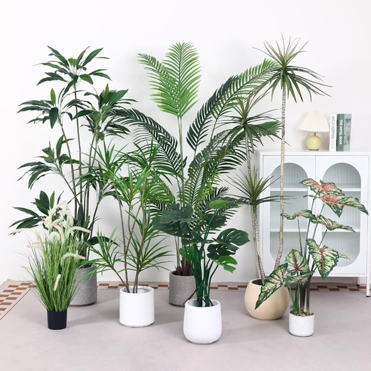 Decorative Plants