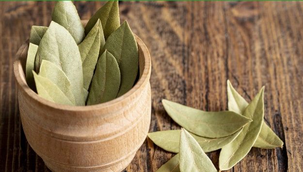 Bay Leaves