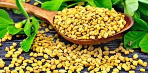 fenugreek seeds