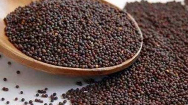 mustard seeds