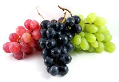 Fresh Grapes for Human Consumption