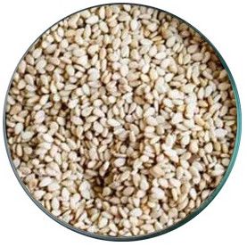 Natural Sesame Seeds