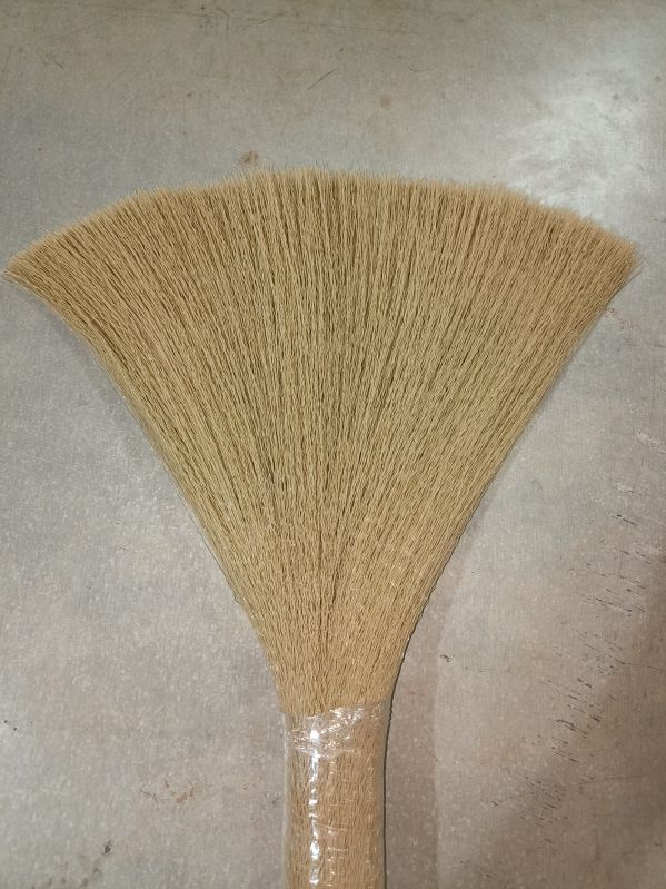 PP Brooms Grass