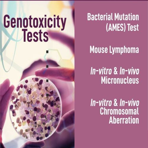 Genotoxicity Testing Service
