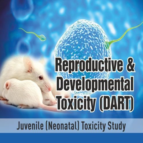 Reproductive and Developmental Toxicity Studies Services