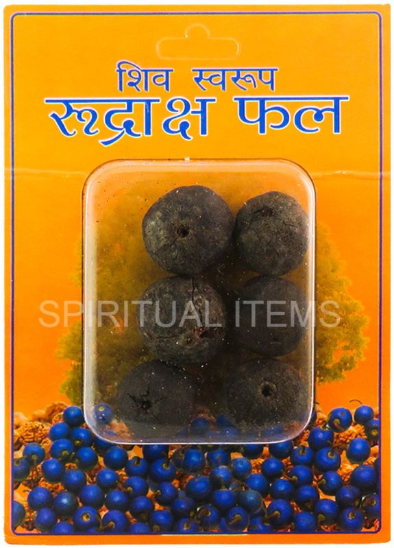 Rudraksha Fruit