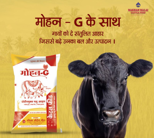 Mohan G Maize Oil Cake