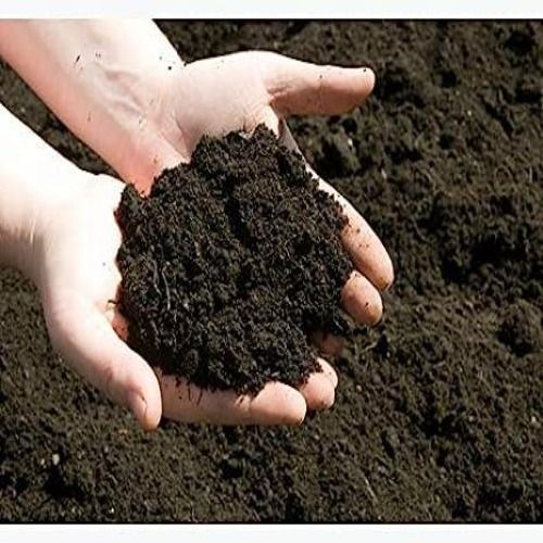 Organic Cow Dung Manure, Packaging Type : Black-brown, Form : Powder