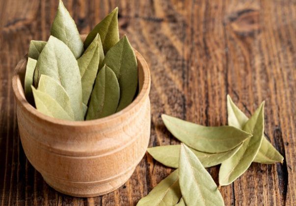 bay leaf