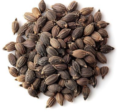 black cardamom