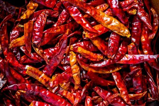 guntur dry red chilli