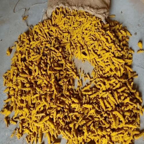 Natural Thakorji Turmeric Finger, Color : Yellow