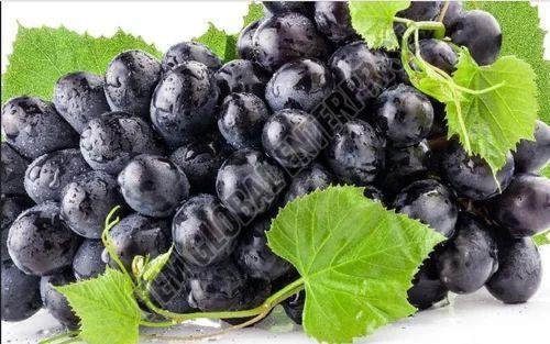 Natural Fresh Black Grapes for Human Consumption