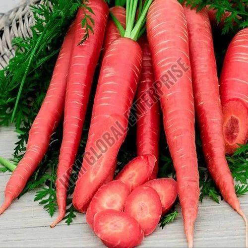 Natural Fresh Red Carrot for Human Consumption, Sweet