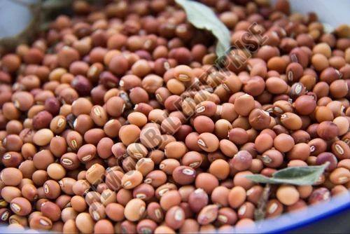 Natural Pigeon Pea Pulses 16%, Grade Standard : Food Grade