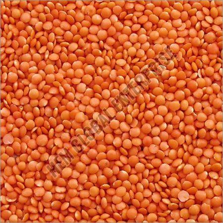 Natural Red Lentil Pulses, Color : Orange, Purity : 99.9%