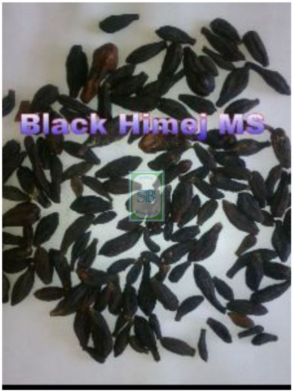 Black Fruits Himej