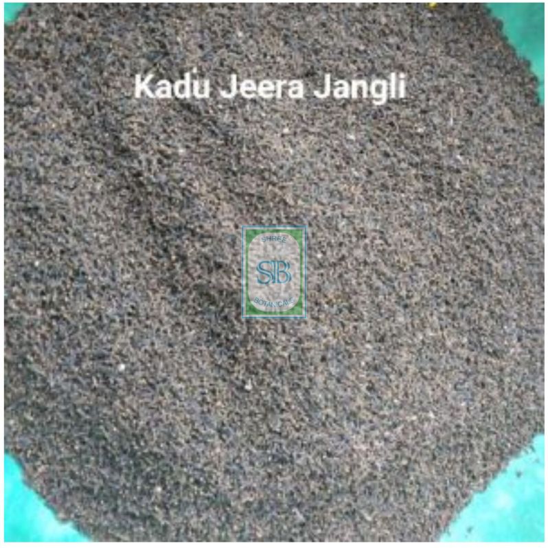 Centratherum Anthelminticum