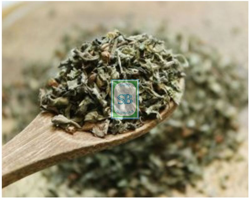 Dried Holy Basil Leaves