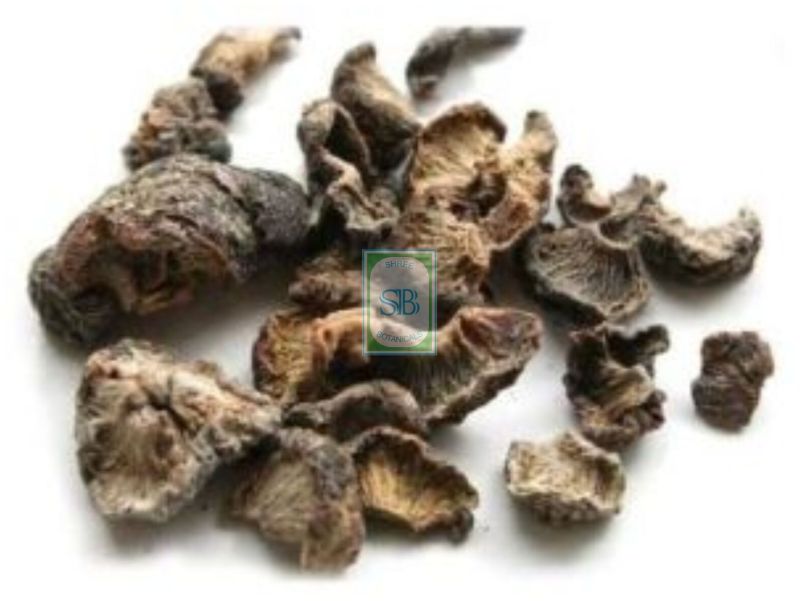 Dry Emblica Officinalis