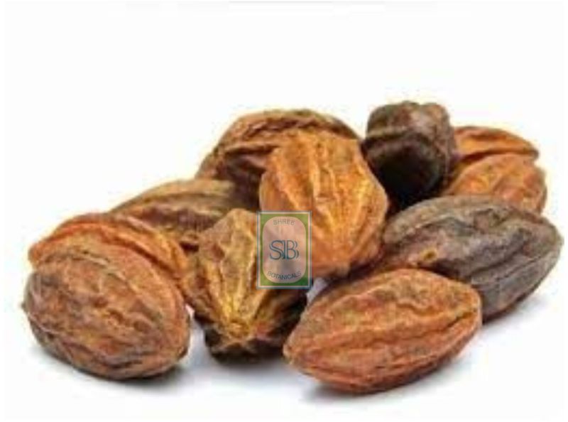 Natural Brown Terminalia Chebula