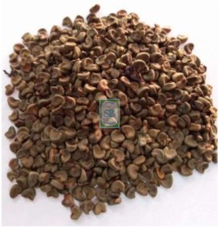 Natural Hibiscus Cannabinus Seeds