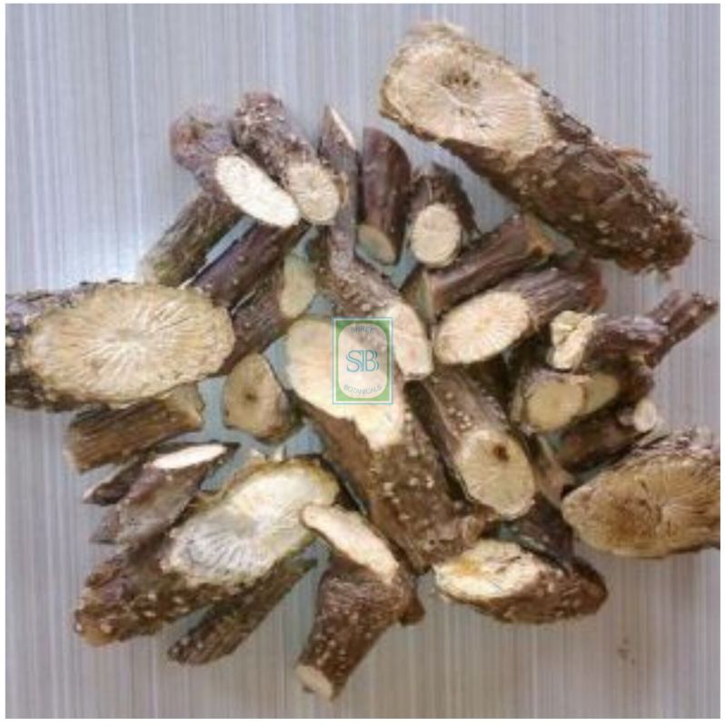 Tinospora Cordifolia Dried Giloy Sticks