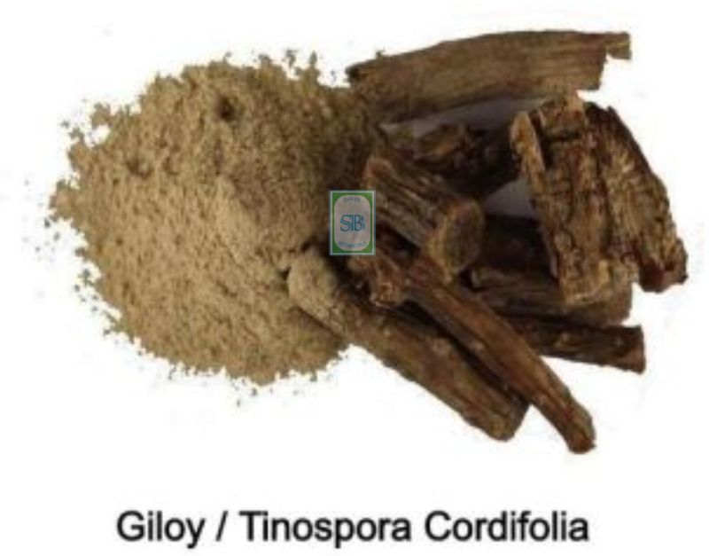 Tinospora Cordifolia Powder
