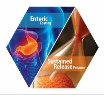 S100 Methacrylic Acid Copolymer Powder