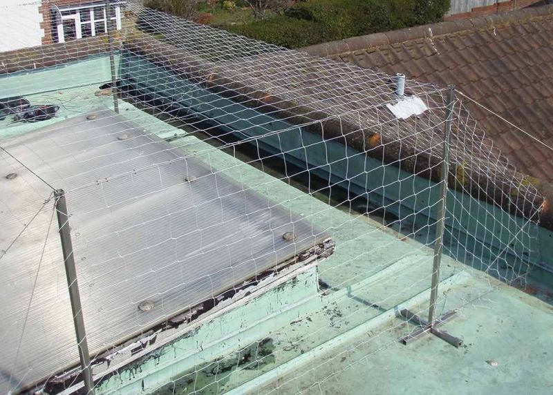 Anti Seagull Safety Nets Installation Service