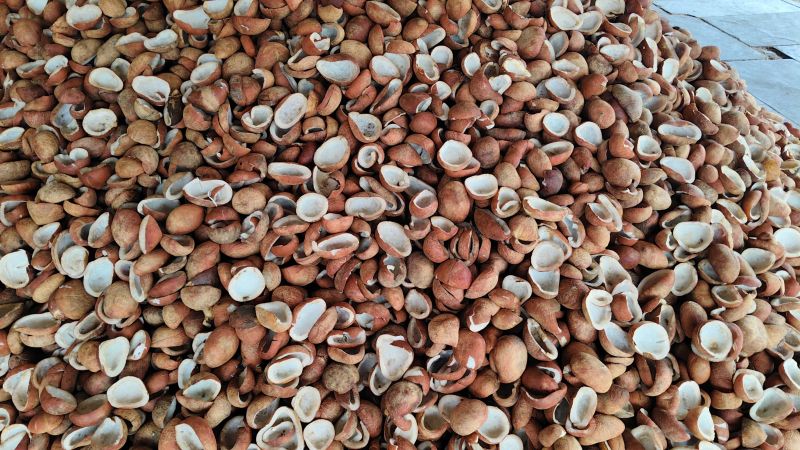 A Grade Coconut Copra for Oil