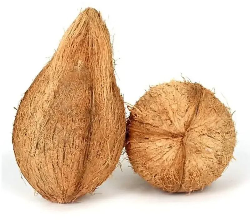 semi husked coconut