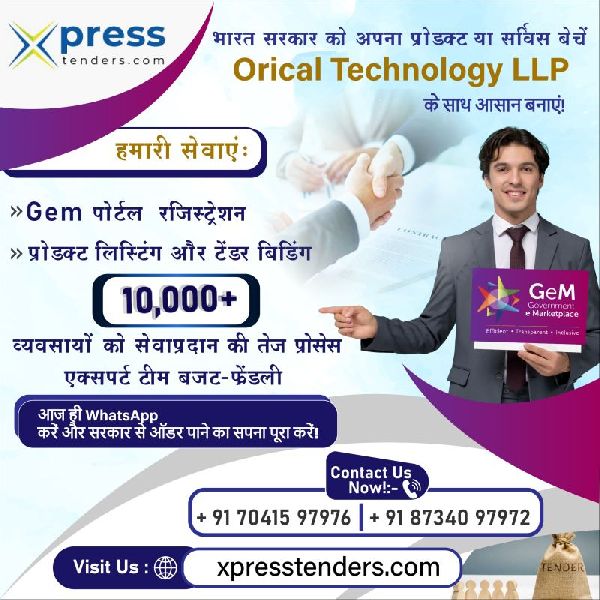 Tender Bidding Consultant