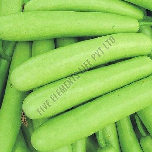 A Grade Fresh Bottle Gourd
