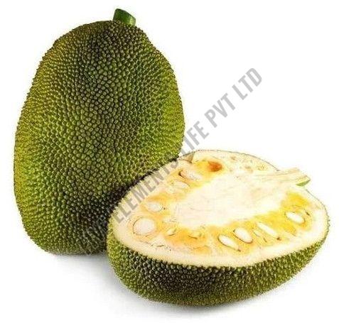 A Grade Fresh Jackfruit