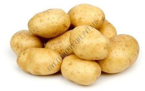 a grade fresh potato