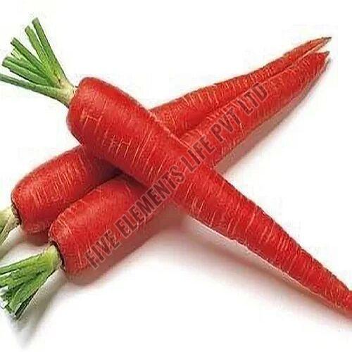 A Grade Fresh Red Carrot, Packaging Type : Mesh Bag