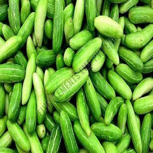 A Grade Green Ivy Gourd