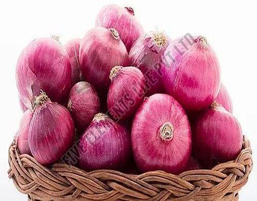 Dubai Quality Onion