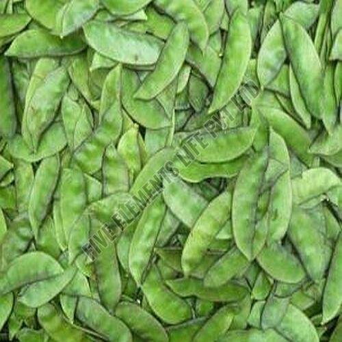 Fresh Green Broad Beans