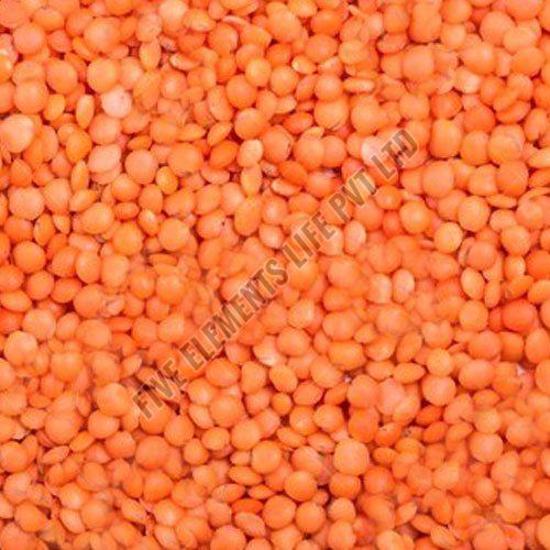Whole Red Masoor Dal