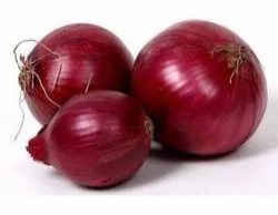 Export Quality Red Onion 50-60 Mm, Packaging Type : Plastic Net Bag