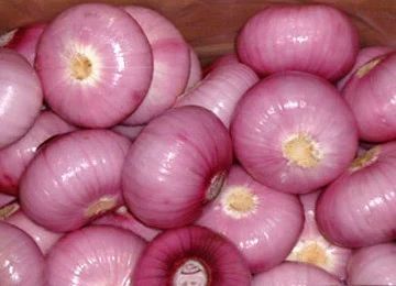 Peeled Red Onion