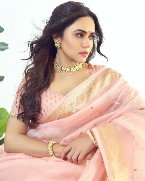 Pastel Peach Banarasi Handloom Kora Silk Saree