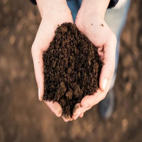 Organic Compost, Form : Powder, Packaging Type : Bag